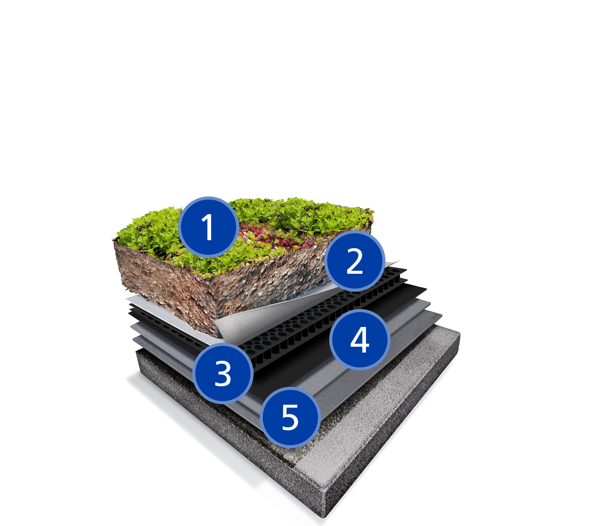 Extensive Vegetated Roofs